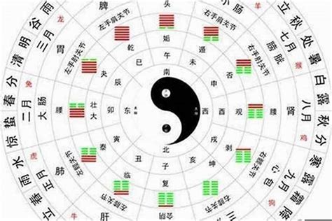 智的五行|智字的五行属性